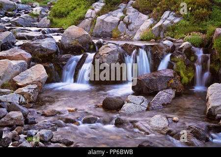 La fonte d'été de Mt Rainier s'engouffre dans Edith Creek à Washington's Mount Rainier National Park. Banque D'Images