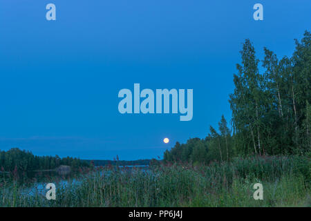 Beau paysage lunaire un soir d'été en Carélie, Russie. Banque D'Images