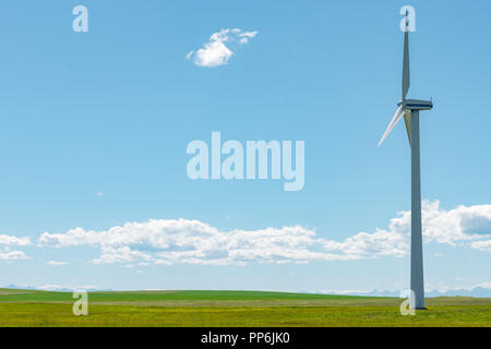 Parc de production d'énergie dans les prairies du sud de l'Alberta Canada Banque D'Images