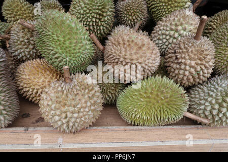 Bouquet de fruits Durian allongé sur une échoppe de marché Le tableau vu de face Banque D'Images