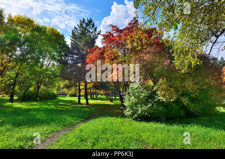 Petit coin d'automne parc de la ville avec le chemin à travers les arbres avec pelouse entre le feuillage multicolore rouge et arbres rowan - paysage d'automne à bright su Banque D'Images