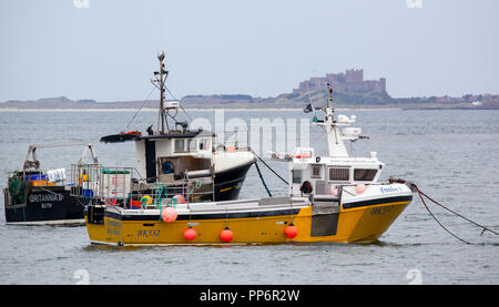 Vue sur château de Bamburgh de Holy Island Lindisfarne ou bateaux de pêche avec au premier plan le Northumberland England UK Banque D'Images