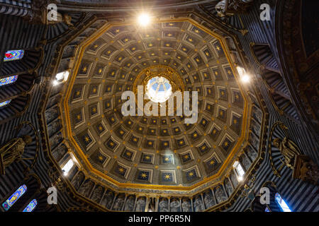 Le plafond ou le toit de la coupole, dans l'intérieur de la Cathédrale de Sienne ( Duomo Sienne ), Sienne, Toscane Italie Europe Banque D'Images