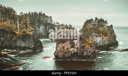 Cap Flattery piles la mer un jour de pluie, les Makah et réservation, Neah Bay, la péninsule Olympique, côte de l'état de Washington, USA. Banque D'Images