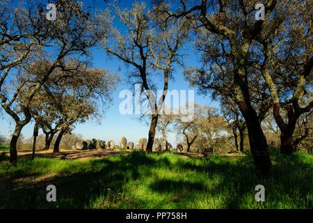 Dos Almendres Cromlech,neolitico antiguo -Alto das Pedras- Talhas, Nossa Senhora de Guadalupe,Valverde, Evora, Portugal, Alentejo, Europa. Banque D'Images