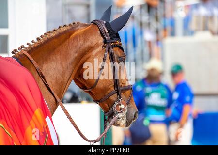 Tryon, North Carolina, USA. 23 Septembre, 2018. Alice DSP. GER. FEI World Championship individuelle de saut. Concours hippique. Jour 12. Les Jeux équestres mondiaux. WEG 2018 Tryon. La Caroline du Nord. USA. 23/09/2018. Credit : Sport en images/Alamy Live News Banque D'Images