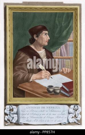 Antonio de Nebrija (1441-1522). Érudit espagnol, historien, professeur et poète. La gravure. De couleur. Banque D'Images