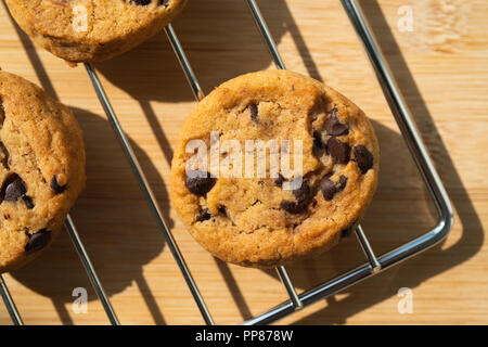 Des cookies chocolat doux sur un plateau du four et la lumière du soleil Banque D'Images