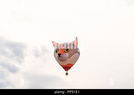 Formulaire spécial chat à hot air balloon festival au 28ème Warsteiner Internationale Montgolfiade, 2018 à Warstein, Allemagne, Banque D'Images