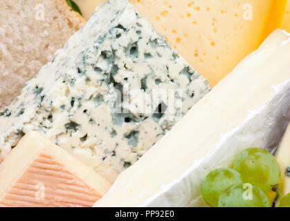 Différents types de fromage close-up Banque D'Images