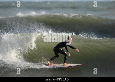 Surfant sur l'Gower Banque D'Images