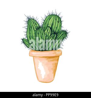 Cactus mexicain d'épines ou d'épines et de fleurs en pot en argile comme isolés Clipart pour Cinco de Mayo ou de célébration. Cactus Saguaro Esculent comestibles comme Indiens ou Mammillaria, fig. Thème de l'Amérique latine Illustration de Vecteur