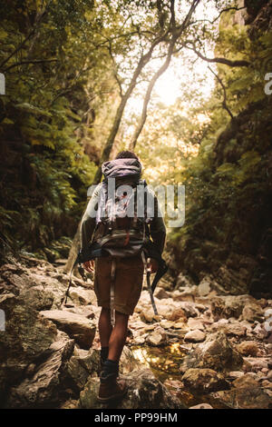Vue arrière du jeune homme sac à dos avec la marche sur un sentier rocheux à travers la forêt. Randonnée à travers les hommes et rocky mountain trail. Banque D'Images