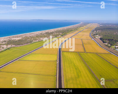 Panorama de l'antenne de la rizière en Comporta sur la côte de l'Alentejo Banque D'Images