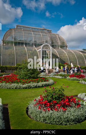 La Palm House dans les jardins botaniques royaux de Kew Gardens London England UK Banque D'Images