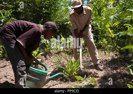 Les agriculteurs d'arroser leurs plantes. Banque D'Images