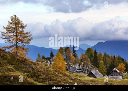 Prairie alpine colorés et grange en dessous de montagnes brumeuses Banque D'Images
