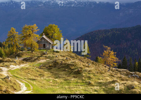 Prairie alpine colorés et grange en dessous de montagnes brumeuses Banque D'Images