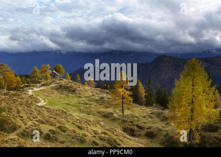 Prairie alpine colorés et grange en dessous de montagnes brumeuses Banque D'Images