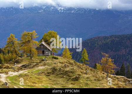 Prairie alpine colorés et grange en dessous de montagnes brumeuses Banque D'Images