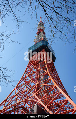 TOKYO, JAPON - 15 février 2018 : Tokyo Tower Tour Eiffel réplique encadrée par des brunchs et low angle dans la journée Banque D'Images