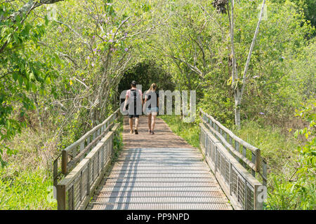 Les touristes à pied sur un chemin à travers la jungle au Parc National de l'Iguazu, Argentine, Amérique du Sud Banque D'Images