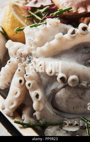 Un plateau de fruits de mer frais crus non cuits, y compris calmar, poulpe, maquereau, sardines, huîtres avec samphire et coin de citron dans un plateau en métal noir dos Banque D'Images