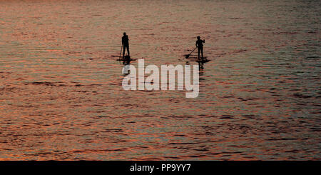 Stand Up Paddle les gens sur le Danube, Bratislava, Slovaquie Banque D'Images