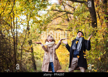 Couple en promenade dans une forêt, dans une nature d'automne, jeter les feuilles. Banque D'Images