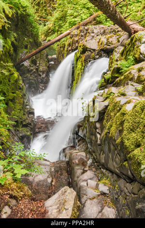 Sol Duc Falls, Olympic National Park, Washington State, USA Banque D'Images