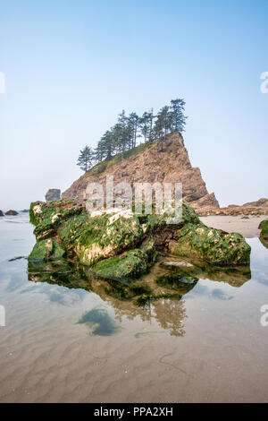 Roches couvertes d'algues, aiguilles, Quileute en deuxième plage, partie de la Push Beach, la côte du Pacifique, Olympic National Park, Washington State, USA Banque D'Images