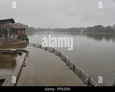 Avis de Roath Park à Cardiff Banque D'Images