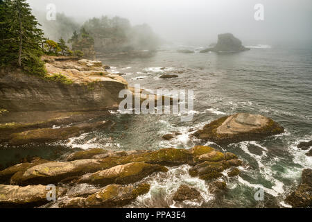 Les roches spectaculaires au cap Flattery dans le brouillard, la réserve indienne Makah, Olympic Peninsula, Washington State, USA Banque D'Images