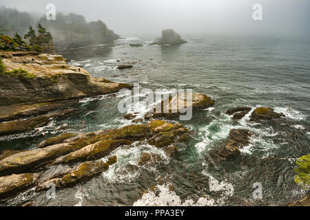 Les roches spectaculaires au cap Flattery dans le brouillard, la réserve indienne Makah, Olympic Peninsula, Washington State, USA Banque D'Images