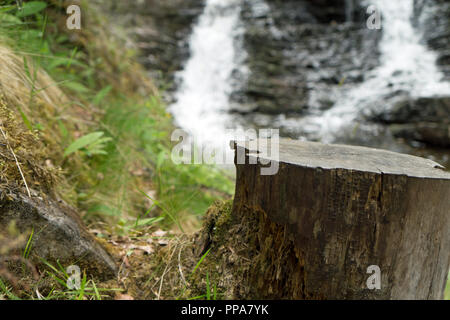 Plodda Falls est une chute d'5 km au sud-ouest du village de Tomich, près de Glen Affric, dans les Highlands d'Ecosse. Banque D'Images