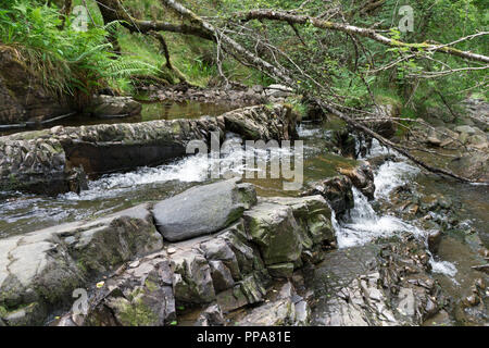 Plodda Falls est une chute d'5 km au sud-ouest du village de Tomich, près de Glen Affric, dans les Highlands d'Ecosse. Banque D'Images