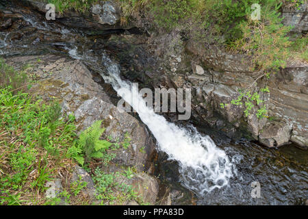 Plodda Falls est une chute d'5 km au sud-ouest du village de Tomich, près de Glen Affric, dans les Highlands d'Ecosse. Banque D'Images