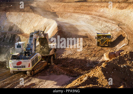 Les camions d'être chargé de minerai par digger en mine à ciel ouvert, l'ouest de l'Australie Banque D'Images