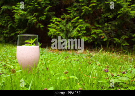 Berry (rose) de délicieux smoothies dans un verre se dresse sur l'herbe sur un fond vert. La monnaie se trouve au sommet du smoothie. Banque D'Images