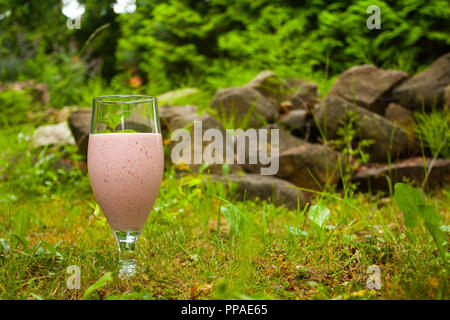 Berry (rose) de délicieux smoothies dans un verre se dresse sur l'herbe en arrière-plan des pierres. La monnaie se trouve au sommet du smoothie. Banque D'Images