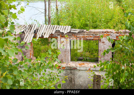 Vieux bâtiment de briques en ruine dans les bois Banque D'Images