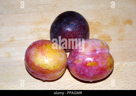 Prunes rouges close-up Banque D'Images