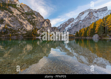 Croda del Becco, Seekofel, dans la soirée, reflété dans le lac en automne, lac de Braies, Lago di Braies, Pragser Wildsee, Province de Bolzano Bozen, Province, Banque D'Images