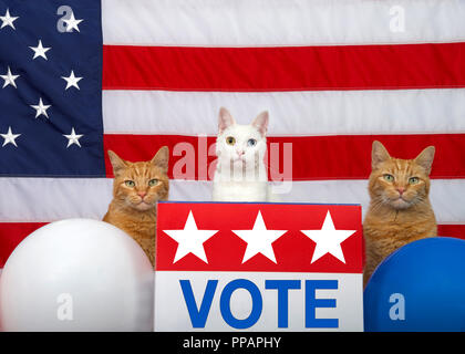 3 chats assis derrière une urne électorale avec vote sur l'avant, rouge blanc bleu ballons et drapeau américain en arrière-plan. Au-dessus de l'espace de copie Banque D'Images