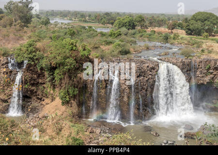 Tis Abay (Fumée du Nil) aka Tis Isat (l'eau qui fume), du Nil Bleu en Ethiopie, waterfallls Banque D'Images