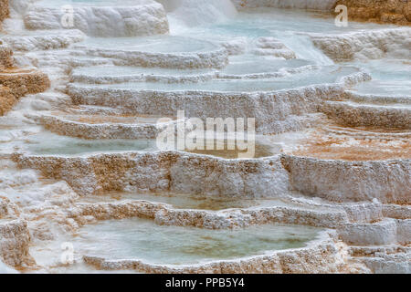 Le fragment de Mammoth Hot Springs : thermal pools Banque D'Images