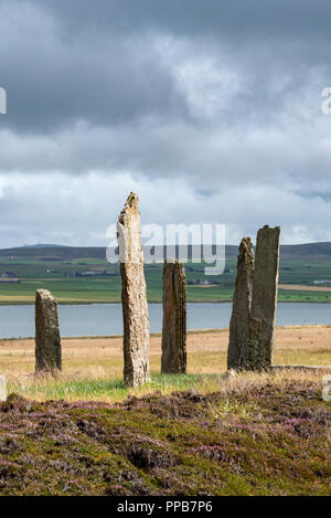 Anneau de Shetlands, vers 2500 avant J.-C., cercle de pierres néolithiques, le henge, UNESCO World Heritage Site, Orkney, Écosse continentale Banque D'Images