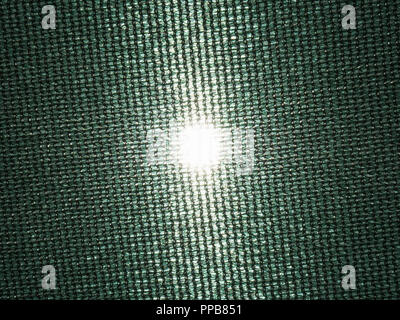 Le tissu sous le soleil vert fond clair Banque D'Images