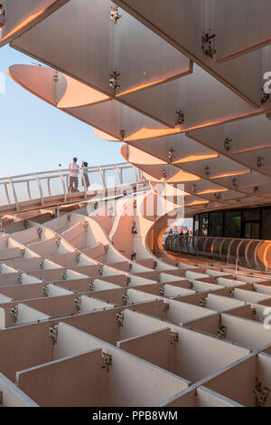 L'architecture moderne, le Metropol Parasol, structure en bois courbé, Plaza de la Encarnacion, Séville, Andalousie, Espagne Banque D'Images