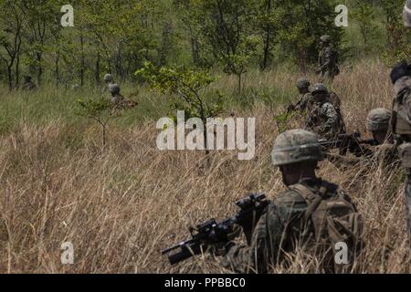 Fusiliers marins avec Fox compagnie, 2e Bataillon, 3ème Marines, prendre le contrôle de terrain au cours d'un incendie réel et de la manœuvre à percer à Kota Belud gamme Lttl, Malaisie, le 15 août 2018. CARAT La Malaisie en sa 24ème itération, est conçu pour accroître l'échange d'information et de coordination, de bâtir la capacité de combat de mutuelle et favoriser à long terme la coopération régionale permettant aux deux forces armées partenaire d'opérer efficacement ensemble comme une force maritime unifié. Banque D'Images